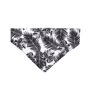 Petsleisure Pet Accessories